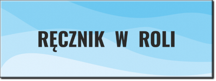 MP Papier producent ręczników w roli